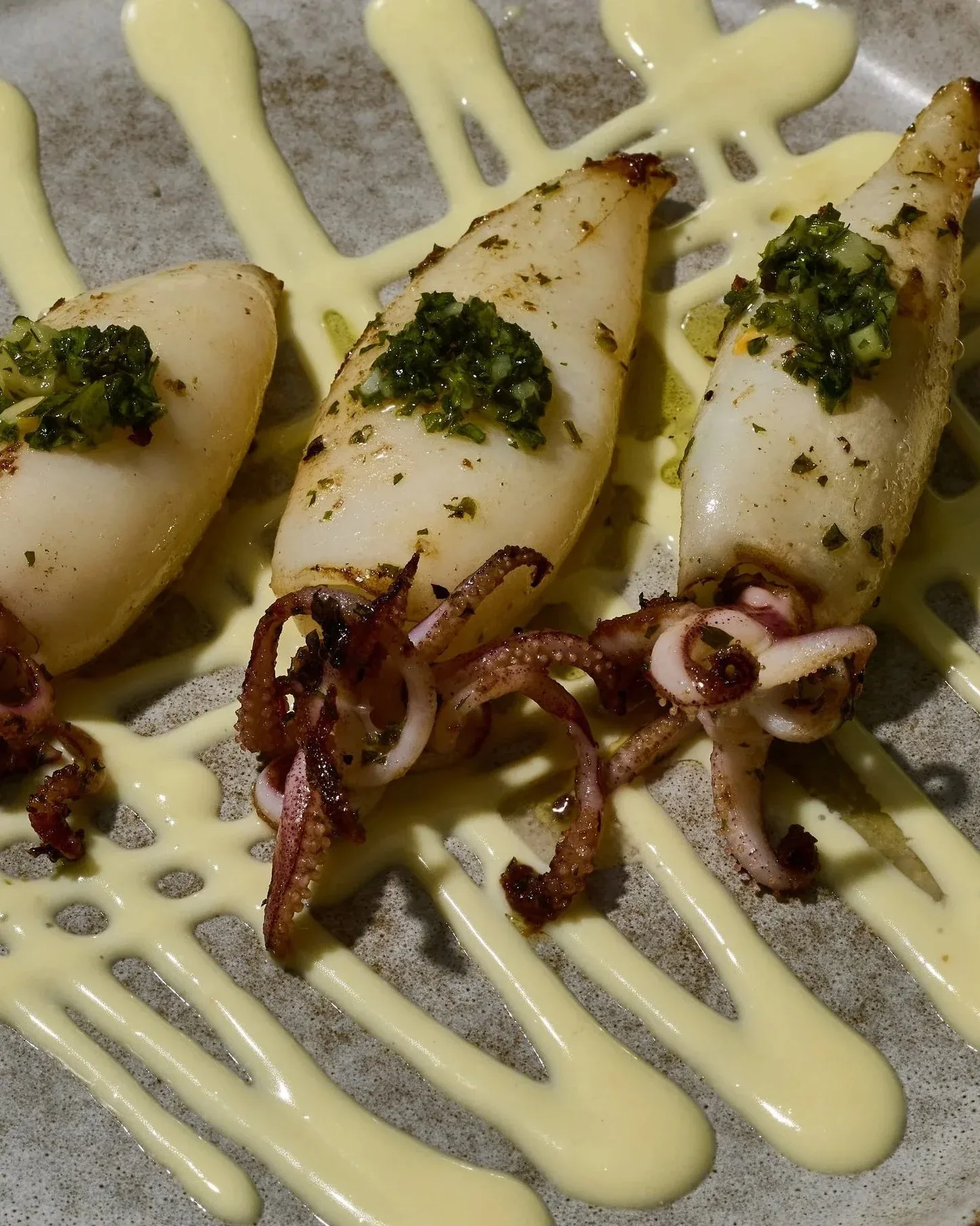 Grilled calamari with herbs and a pale green sauce